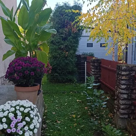 Apartman Svimi *